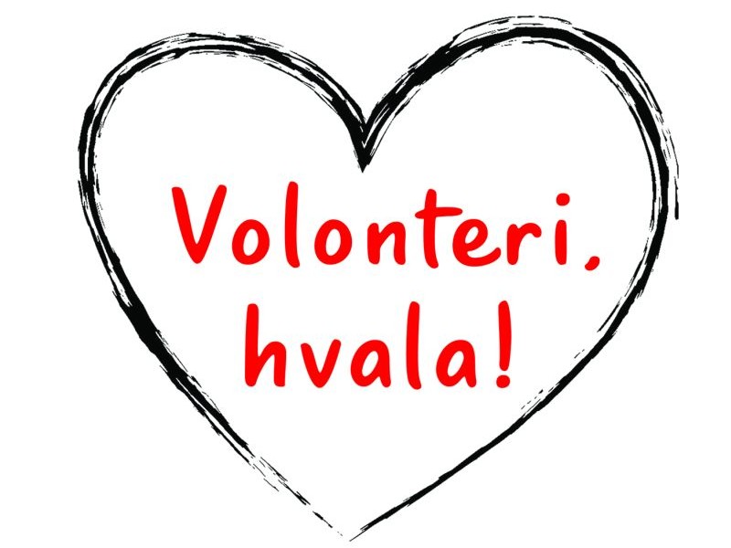 volonteri-thumb
